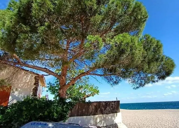 度假居 Climatisee 5 Pers A 600m - Terrasse, Bbq, Wifi, Animaux Ok - Fr-1-776-52